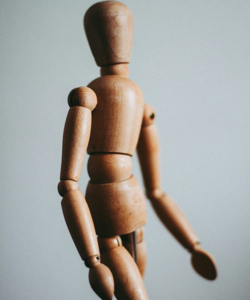 kira-auf-der-heide-_Zd6COnH5E8-unsplash